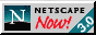Best Viewed With Netscape Navigator